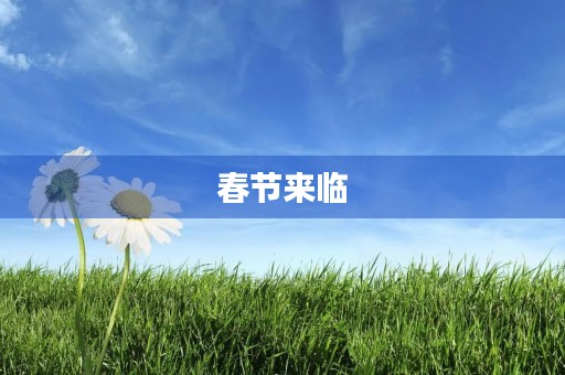 春节来临 春节来临