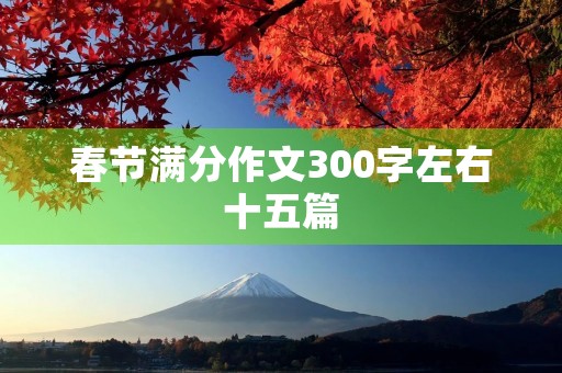春节满分作文300字左右十五篇