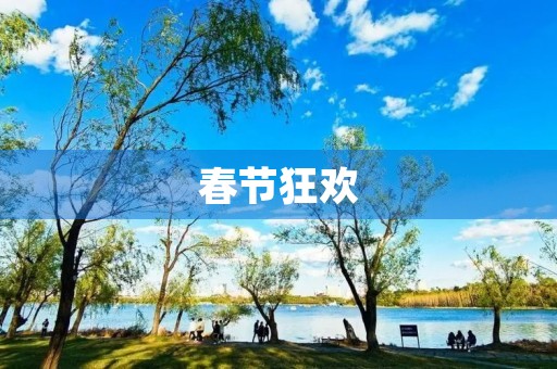 春节狂欢,大年初二 春节狂欢,大年初二