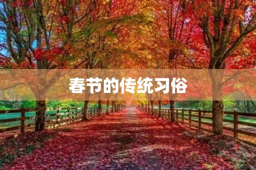 春节的传统习俗 春节的传统习俗