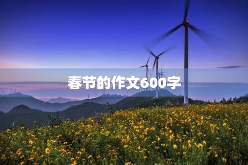 春节的作文600字 春节的作文600字