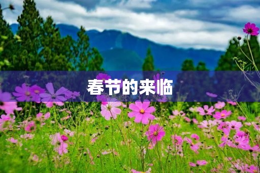 春节的来临