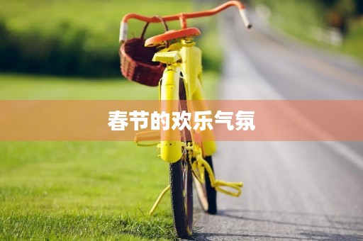 春节的欢乐气氛 春节的欢乐气氛