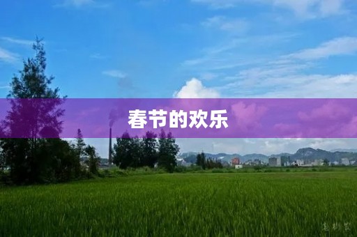 春节的欢乐 春节的欢乐