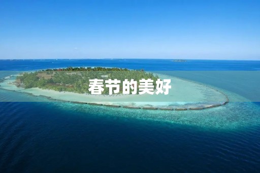 春节的美好 春节的美好