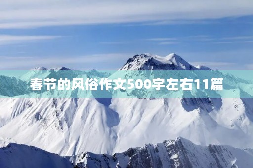 春节的风俗作文11篇