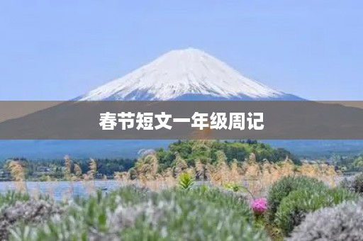 春节短文一年级周记