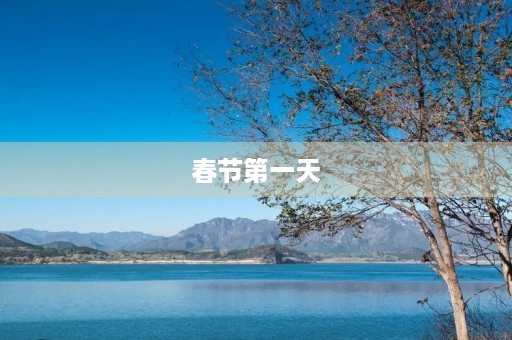 春节第一天，欢声笑语迎新春，热闹非凡