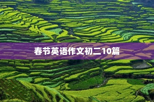 春节英语作文初二10篇 春节英语作文初二10篇