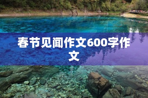 春节见闻作文600字作文 春节见闻作文600字作文