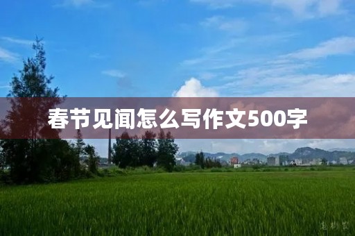 春节见闻怎么写作文500字 春节见闻怎么写作文500字
