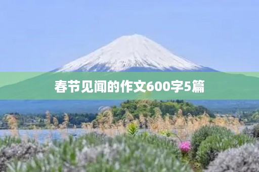 春节见闻的作文600字5篇 春节见闻的作文600字5篇
