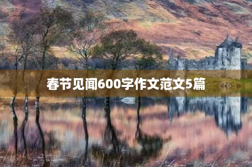春节见闻600字作文范文5篇