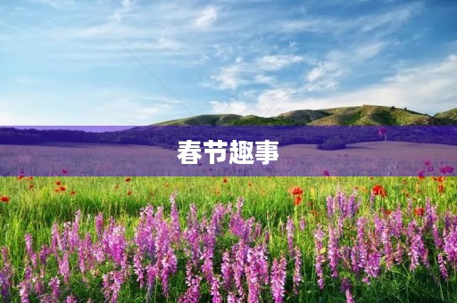 春节趣事