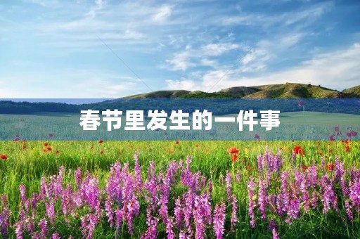 春节里发生的一件事 春节里发生的一件事