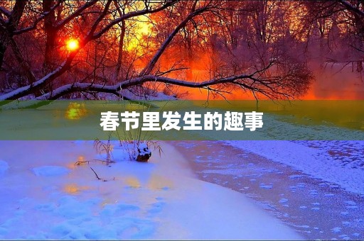 春节里发生的趣事 春节里发生的趣事