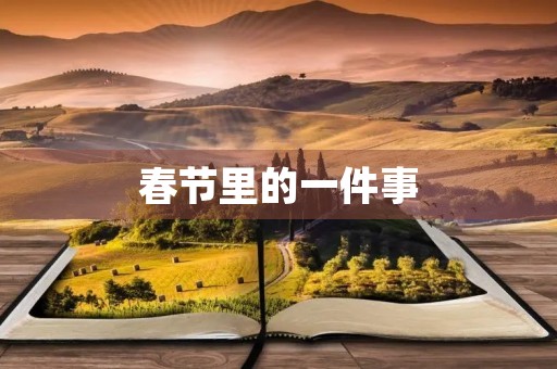 春节里的一件事 春节里的一件事