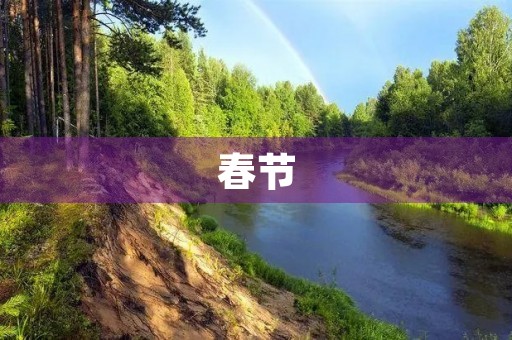 春节,我的家庭传统节日 春节,我的家庭传统节日