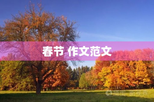春节 作文范文 春节 作文范文