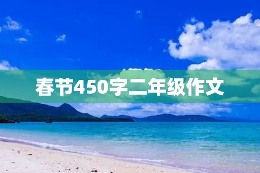 春节450字二年级作文