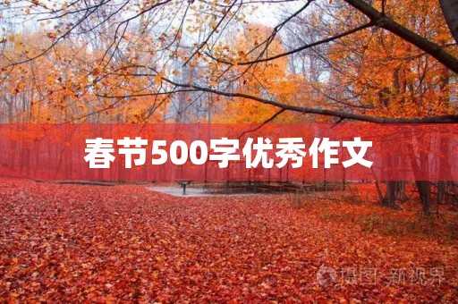 春节500字优秀作文 春节500字优秀作文