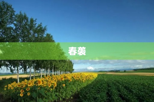 春袭
