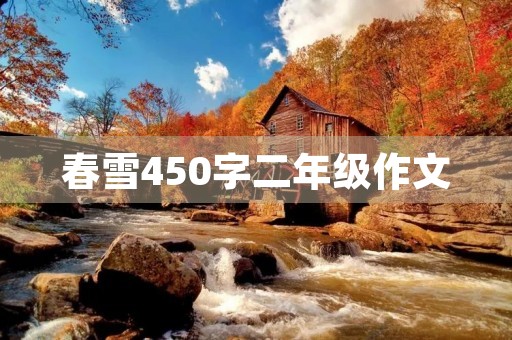 春雪450字二年级作文