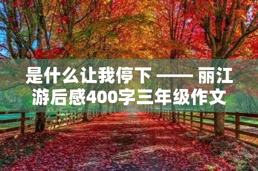 是什么让我停下 —— 丽江游后感400字三年级作文