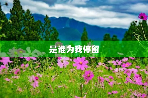 是谁为我停留 是谁为我停留