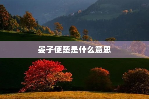 晏子使楚是什么意思
