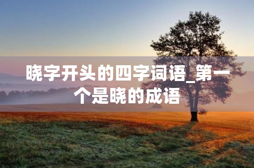 晓字开头的四字词语_第一个是晓的成语