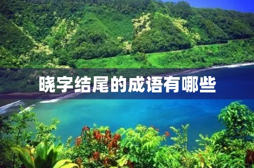 晓字结尾的成语有哪些