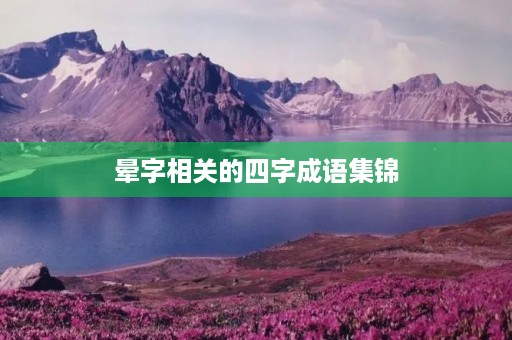 晕字相关的四字成语集锦