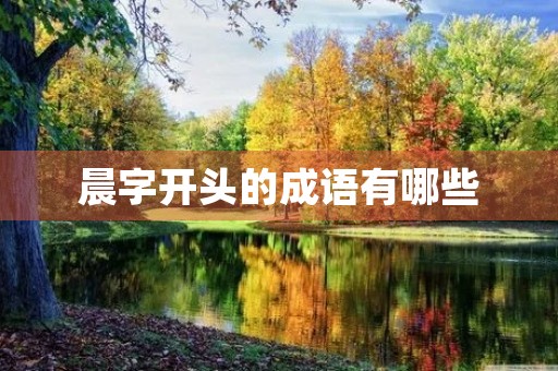 晨字开头的成语有哪些