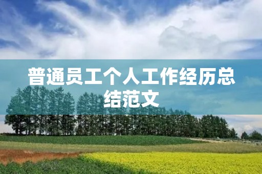 普通员工个人工作经历总结范文