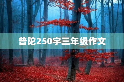 普陀250字三年级作文 普陀250字三年级作文