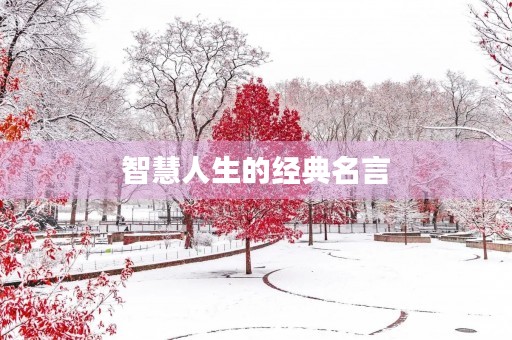 智慧人生的经典名言,智慧人生的经典名言图片 智慧人生的经典名言,智慧人生的经典名言图片