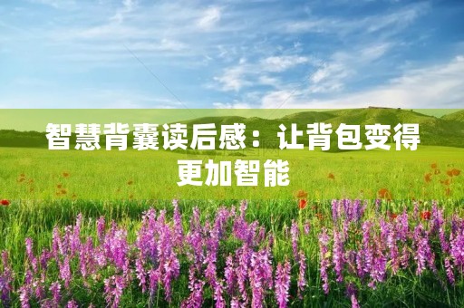 智慧背囊读后感:让背包变得更加智能 智慧背囊读后感:让背包变得更加智能