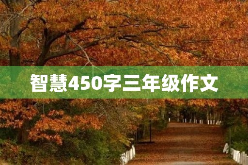 智慧450字三年级作文 智慧450字三年级作文