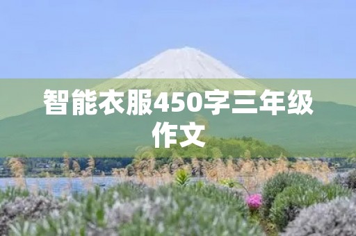 智能衣服450字三年级作文