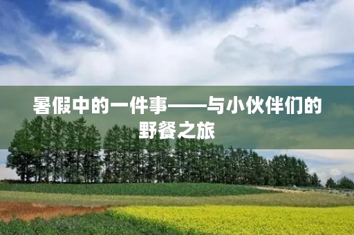 暑假中的一件事——与小伙伴们的野餐之旅