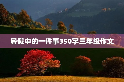暑假中的一件事350字三年级作文 暑假中的一件事350字三年级作文