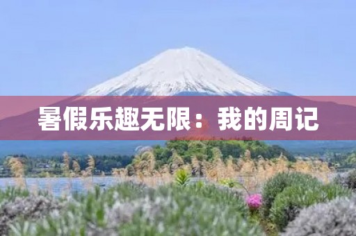 暑假乐趣无限:我的周记 暑假乐趣无限:我的周记