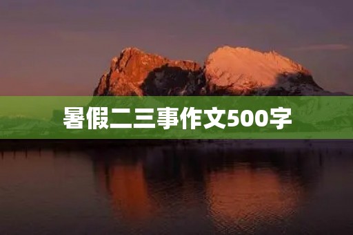 暑假二三事作文500字