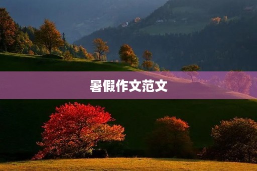 暑假作文范文 暑假作文范文
