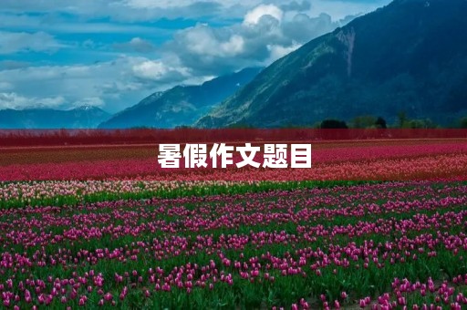 暑假作文题目 暑假作文题目