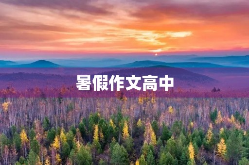 暑假作文高中