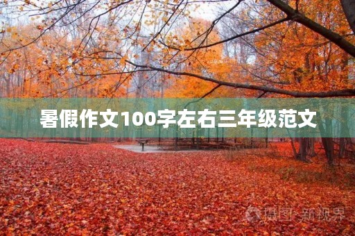 暑假作文100字左右三年级范文 暑假作文100字左右三年级范文
