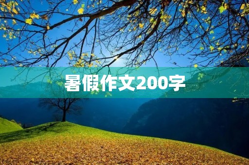 暑假作文200字
