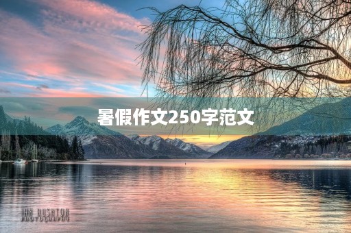 暑假作文250字范文